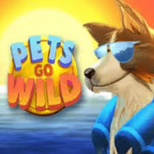 Pets Go Wild