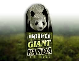 Untamed - Giant Panda