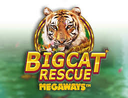 Big Cat Rescue Megaways™