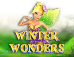Winter Wonders