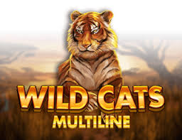 Wild Cats Multiline