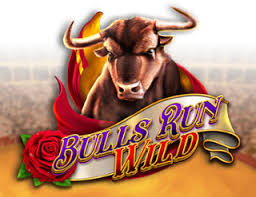 Bulls Run Wild