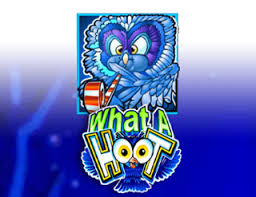 What A Hoot
