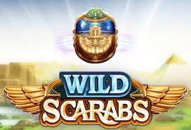 Wild Scarabs