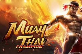 Muay Thai Champion