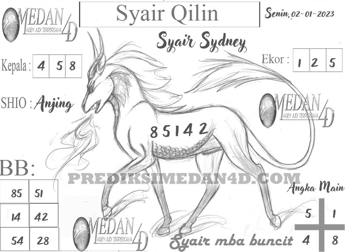 SYAIR%20QILIN%20SYDNEY.jpg