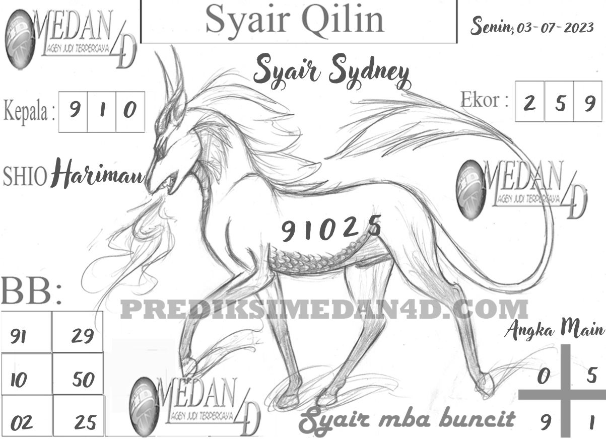 SYAIR%20QILIN%20SYDNEY.jpg