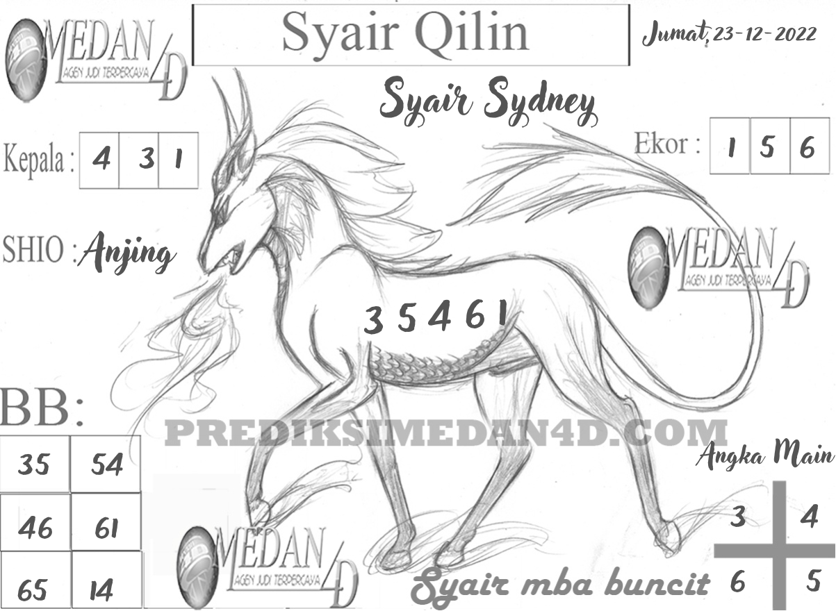 SYAIR%20QILIN%20SYDNEY.png