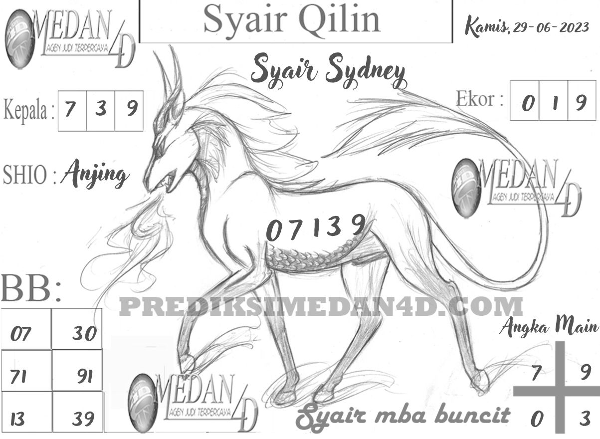 SYAIR%20QILIN%20SYDNEY.jpg