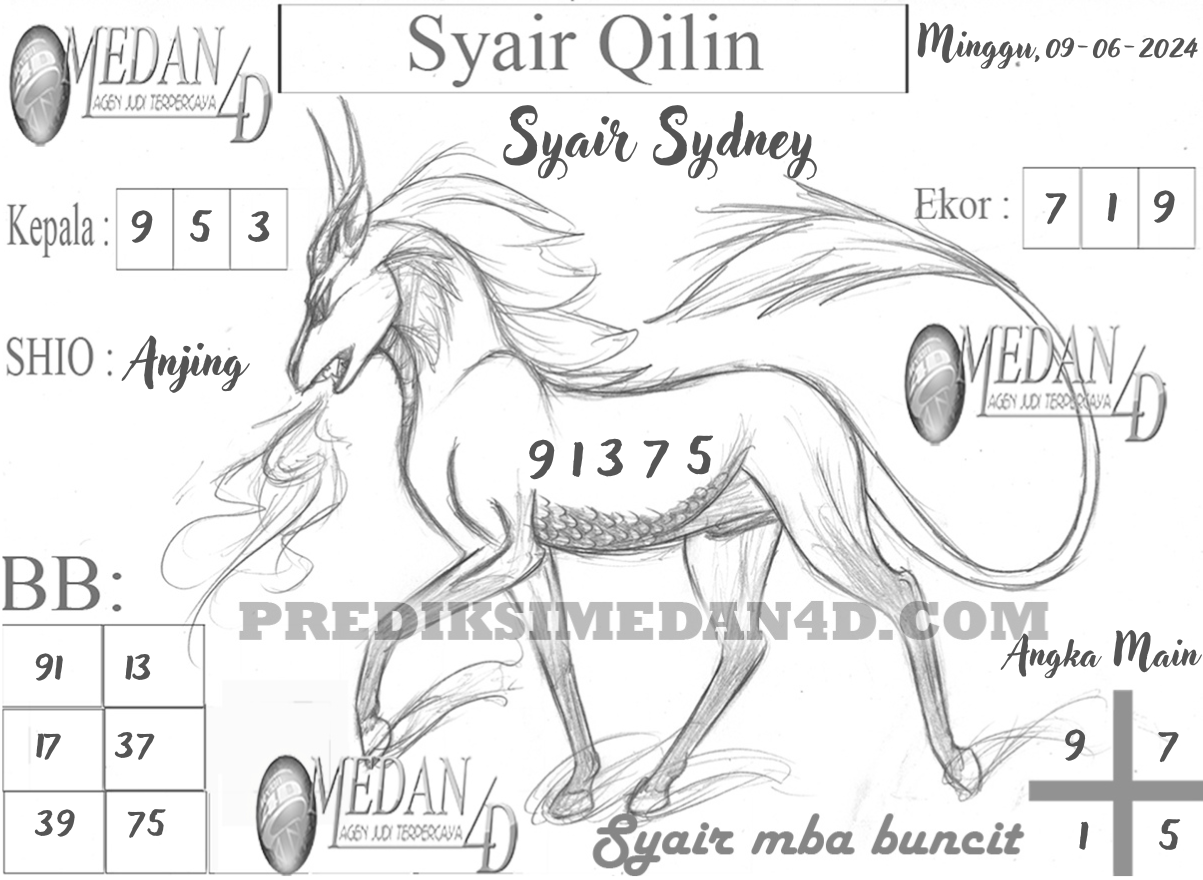 SYAIR%20QILIN%20SYDNEY.png