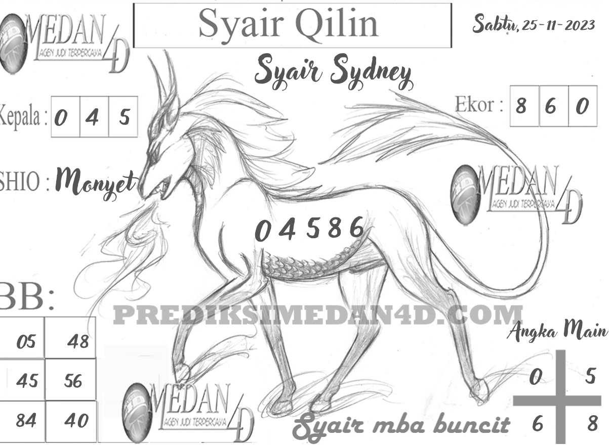 SYAIR%20QILIN%20SYDNEY.png