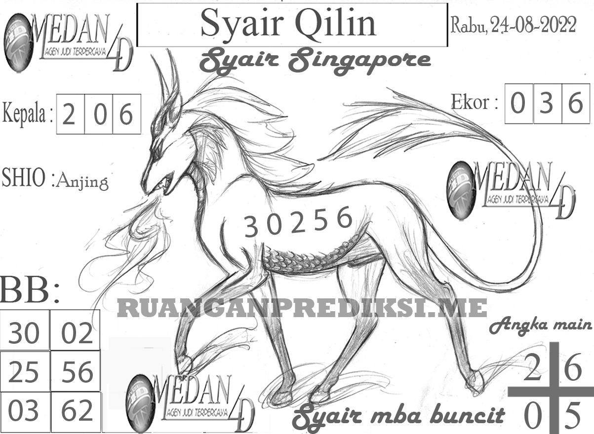 SYAIR%20QILIN%20SINGAPORE.jpg