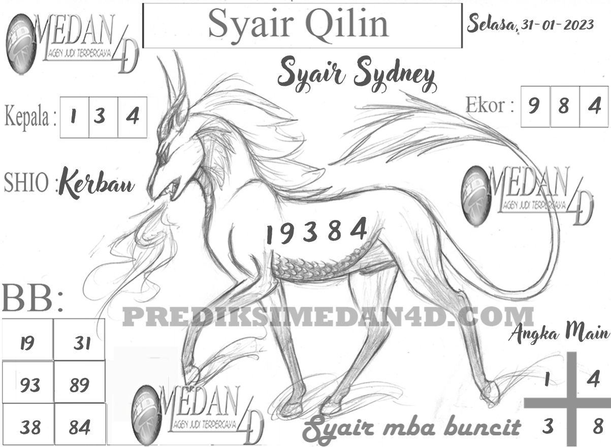 SYAIR%20QILIN%20SYDNEY.jpg