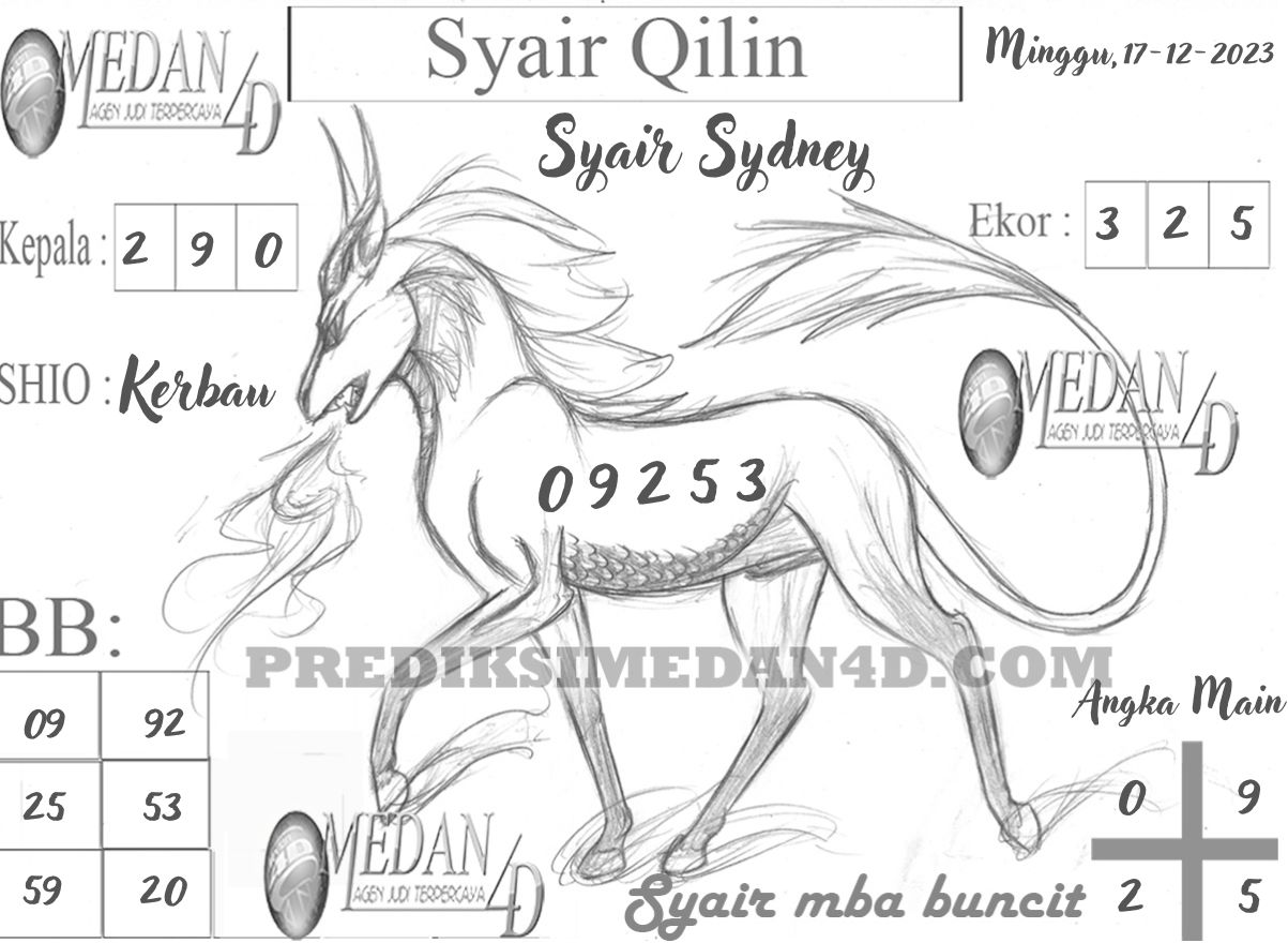 SYAIR%20QILIN%20SYDNEY.jpg