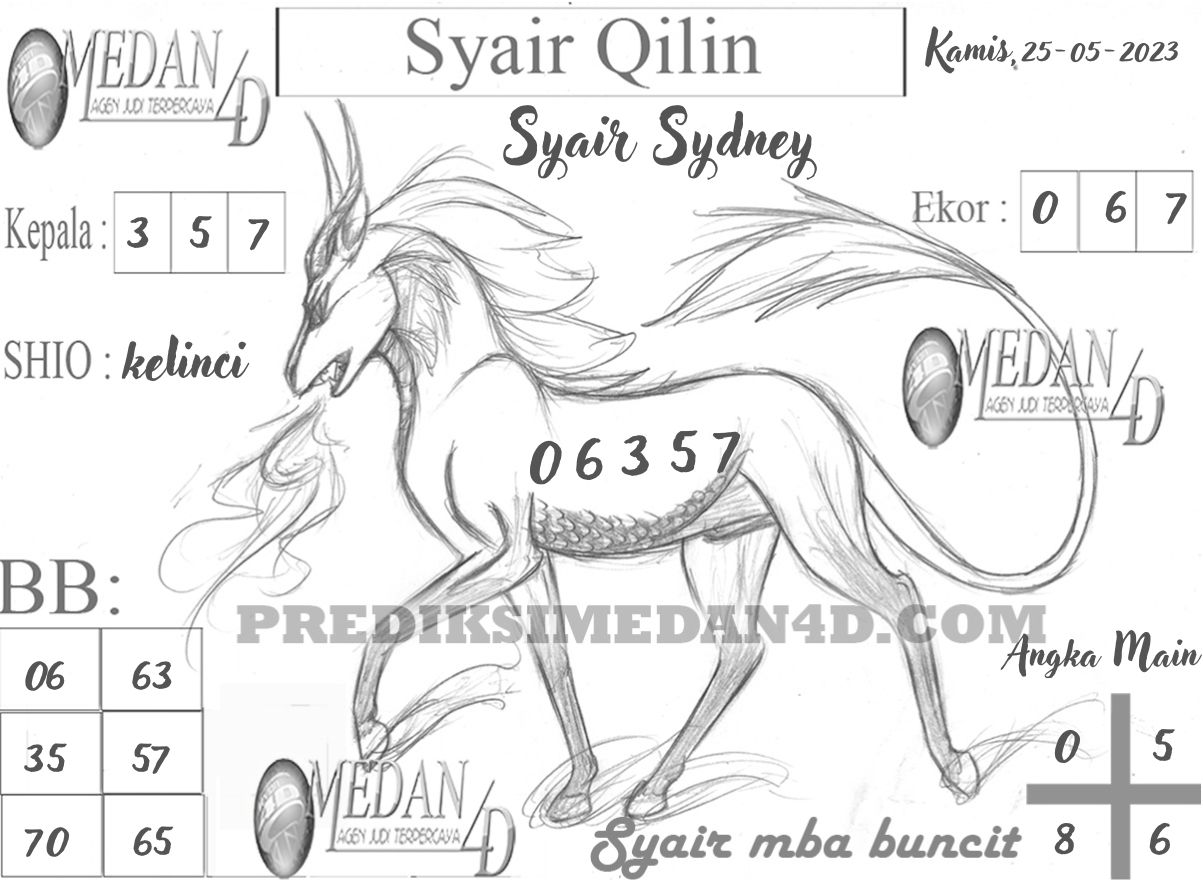 SYAIR%20QILIN%20SYDNEY.jpg