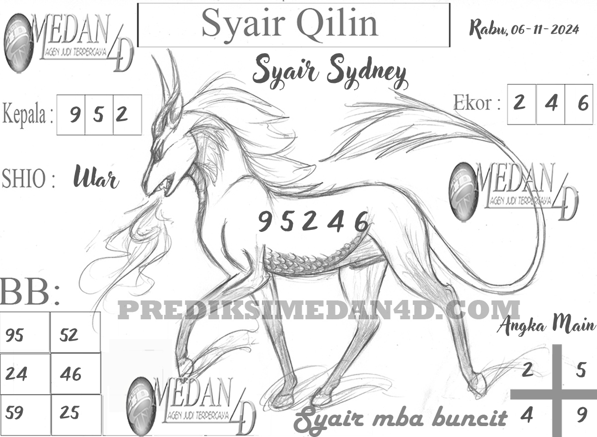 SYAIR%20QILIN%20SIYDNEY.png