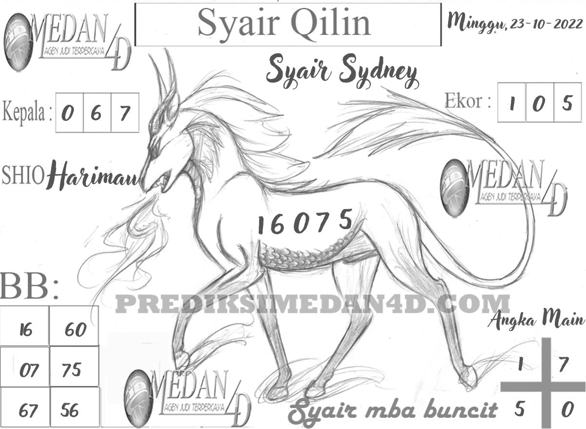 SYAIR%20QILIN%20SYDNEY.jpg