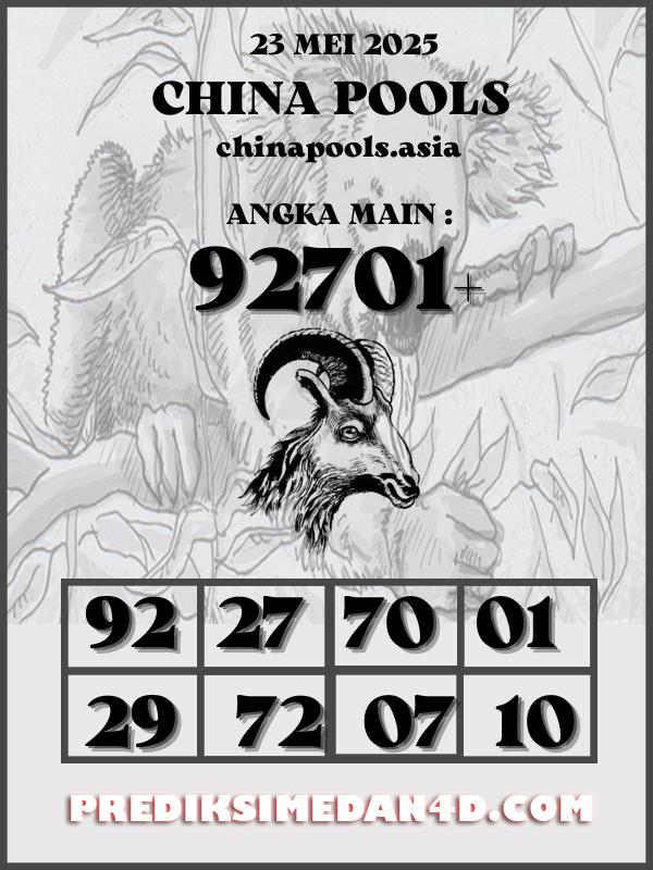 SYAIR%20KOTAK%20CHINA.png