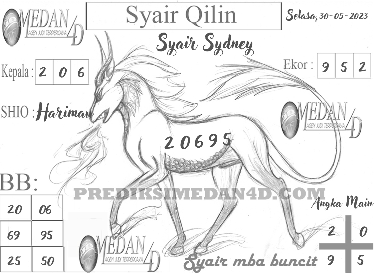 SYAIR%20QILIN%20SYDNEY.png