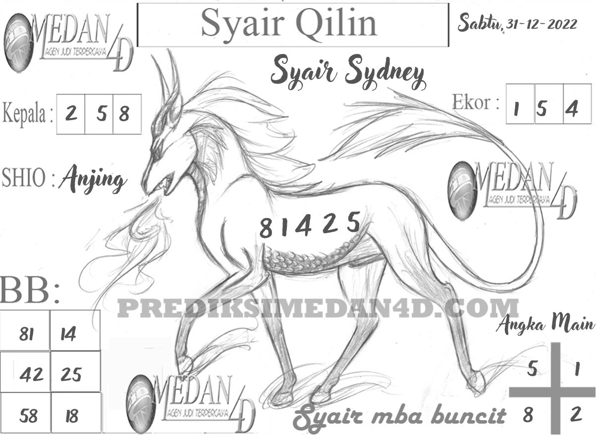 SYAIR%20QILIN%20SYDNEY.jpg