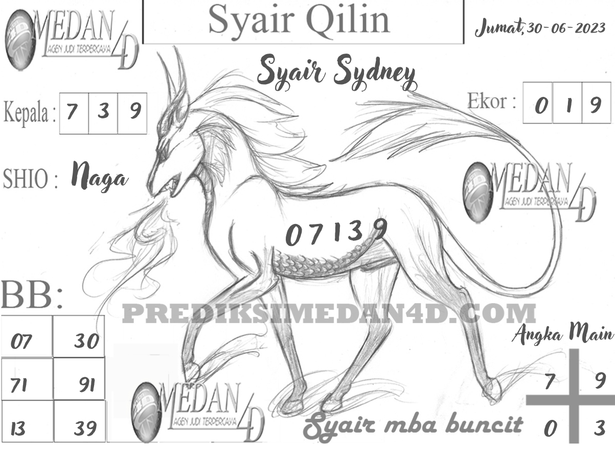 SYAIR%20QILIN%20SYDNEY.png